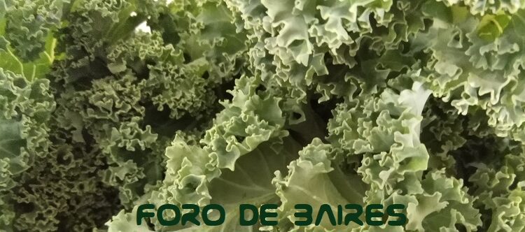 Qué alimentos hay que comer para evitar una gripe o un resfrío