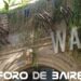 El «Café Watson» es un edificio histórico de Buenos Aires ubicado al lado de la Iglesia Inmaculada Concepción de Belgrano