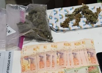 Detienen a una dealer que vendía marihuana cerca de colegios
