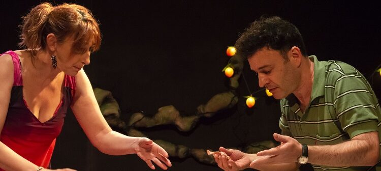 «La Navidad de Georgina «, la comedia dramática de Carolina Sturla