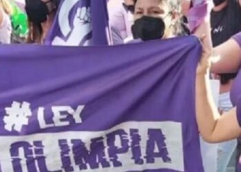 Firman dictamen de consenso de proyecto para tipificar figura de violencia digital