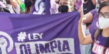 Firman dictamen de consenso de proyecto para tipificar figura de violencia digital
