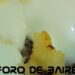 La feria “Food Fest” propone una variada oferta de platos en la Rural de Palermo