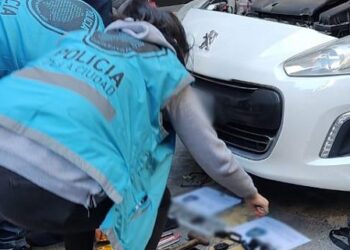 Cinco ladrones detenidos tras una persecución en Palermo