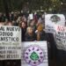 Vecinos de Palermo «abrazaron» al Jardín Botánico contra la muestra privada «Secret Garden»