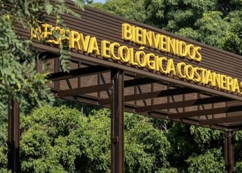 Este fin de semana llega ReserBA Abierta, la feria sustentable de la Ciudad