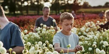 La plataforma Mubi realizará su primer festival de cine en Buenos Aires