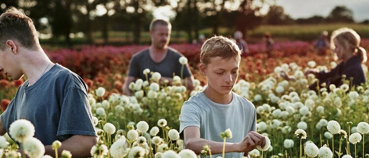 La plataforma Mubi realizará su primer festival de cine en Buenos Aires