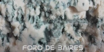 ¿Qué diferencia hay entre el queso Roquefort y el queso azul?