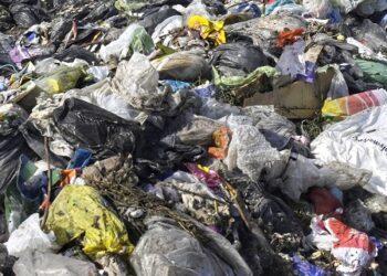 En Argentina hace falta «muchísima educación» para que la población aprenda a separar en origen los desechos del hogar