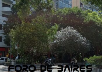 Aprueban en comisión del Senado proyecto para regular los alquileres temporarios para turismo