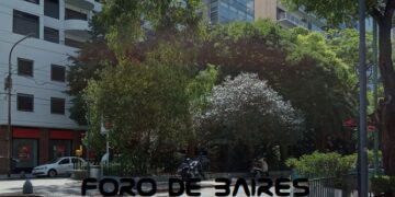 Aprueban en comisión del Senado proyecto para regular los alquileres temporarios para turismo