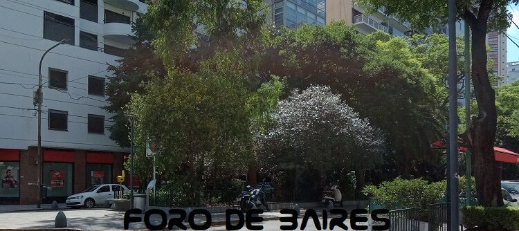 Aprueban en comisión del Senado proyecto para regular los alquileres temporarios para turismo