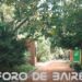 El Jardín Botánico celebra sus 125 años con la inauguración de un Centro de Interpretación