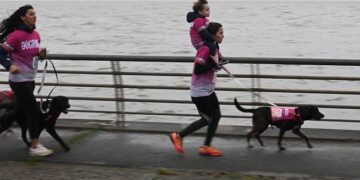 Más de 2.500 personas junto a sus perros participaron de la undécima carrera «DogRun»