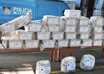 «Haremos frente a los narcos», afirmó Coria tras destruir más de 300 kilos de droga