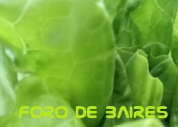 Presentan un proyecto de ley para que frutas y verduras no se vendan en envoltorios plásticos