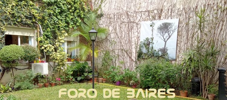 Soñé que compraba una casa en mi barrio