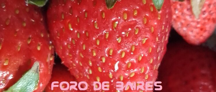 Del productor al consumidor, los precios de los agroalimentos se multiplicaron por 3,7 veces en septiembre