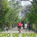 El poder de los hábitos en la salud mental