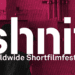 Este Miércoles comienza la octava edición del Shnit Worlwide Shortfirmfestival