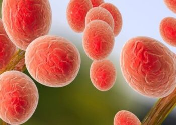 Streptococcus pyogenes: una bacteria peligrosa