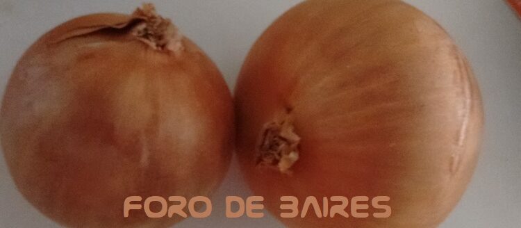 Los beneficios de consumir cebolla cruda en nuestra alimentación