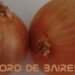 Los beneficios de consumir cebolla cruda en nuestra alimentación