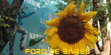 La Plazoleta «Luna de Enfrente» prepara su jardín para el verano 2024