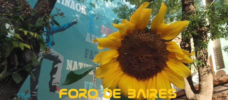 La Plazoleta «Luna de Enfrente» prepara su jardín para el verano 2024