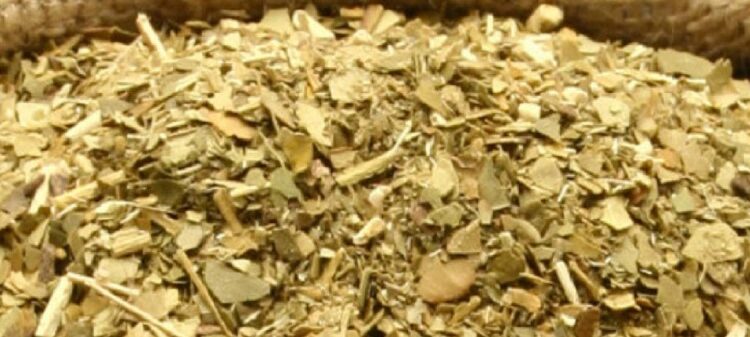 Un estudio del INTI permite que más yerba mate argentina llegue a todo el mundo