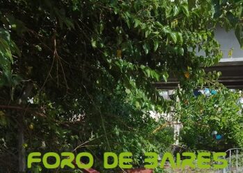 El Ministerio de Salud recordó medidas de prevención frente al ascenso de casos de dengue