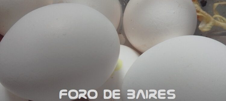 Del productor al consumidor, los precios de los agroalimentos se multiplicaron por 3,4 veces en noviembre