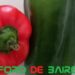 ¿Por qué los pimientos morrones son de diferentes colores?