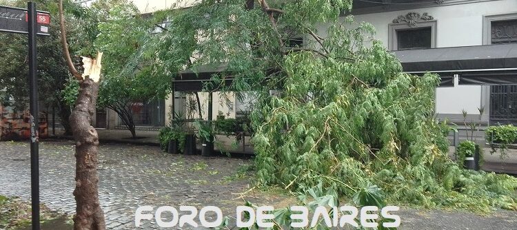 La tormenta del Domingo 23 de Diciembre que arrasó Palermo