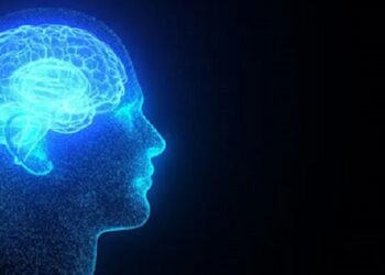 Los cambios en el clima encogen el cerebro humano