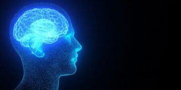 Los cambios en el clima encogen el cerebro humano
