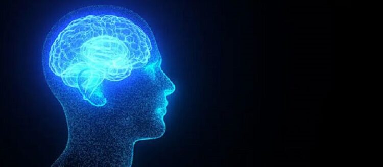 Los cambios en el clima encogen el cerebro humano