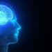 Los cambios en el clima encogen el cerebro humano