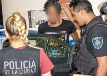 Cinco robabronces detenidos en Recoleta, Retiro y Villa Real