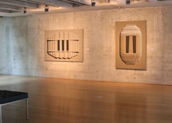 El MACBA presenta «Recorridos Dialogados» con Pablo Siquier
