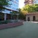 UADE Belgrano presenta un verano repleto de cultura y conocimiento