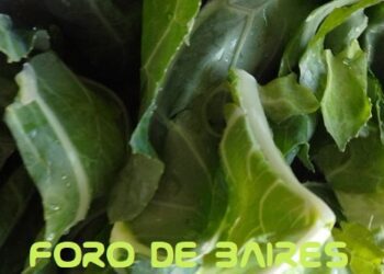 IPOD Enero: el año comenzó con una brecha de precios campo-góndola de 3,8 veces