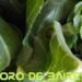 IPOD Enero: el año comenzó con una brecha de precios campo-góndola de 3,8 veces