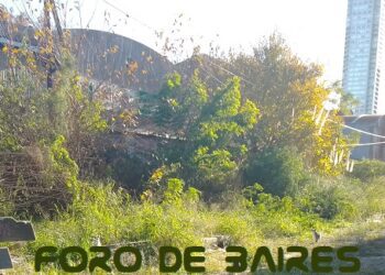 La invasión de mosquitos puede transmitir Encefalitis Equina y su reducción podría demorar 10 días