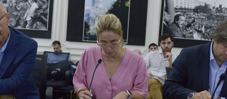 Se constituyeron las comisiones de Tránsito y Transporte, Niñez, Discapacidad, Personas Mayores y Mujeres, Géneros y Diversidades