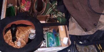 Fueron detenidos: Una pareja por robo de valijas, un robabronces por placas de la legislatura, y dos ladronas con antecedentes