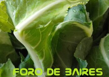Del productor al consumidor, los precios de los agroalimentos se multiplicaron por 3,4 veces en febrero