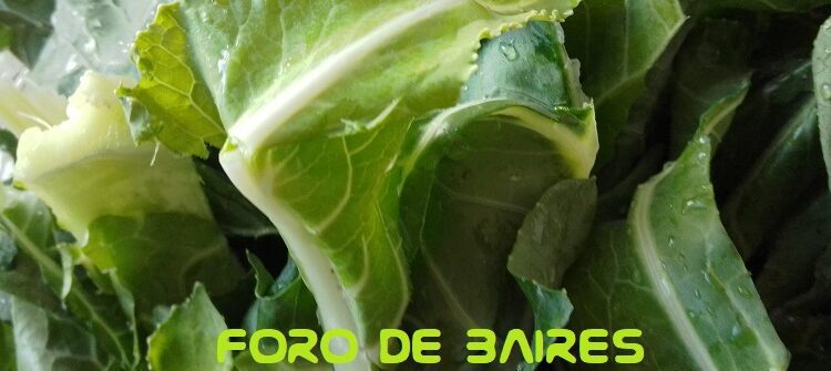 Del productor al consumidor, los precios de los agroalimentos se multiplicaron por 3,4 veces en febrero