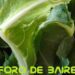 Del productor al consumidor, los precios de los agroalimentos se multiplicaron por 3,4 veces en febrero